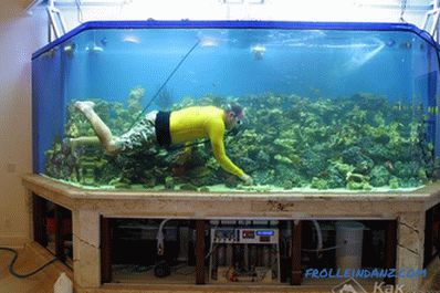 Как да си направим аквариум със собствените си ръце