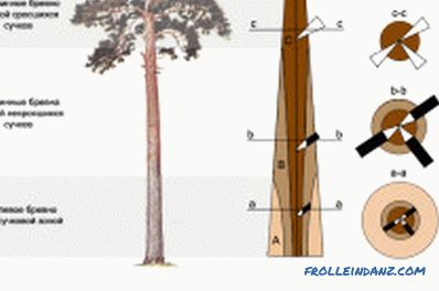 Сортиране на дървесина: автоматизация на процеса