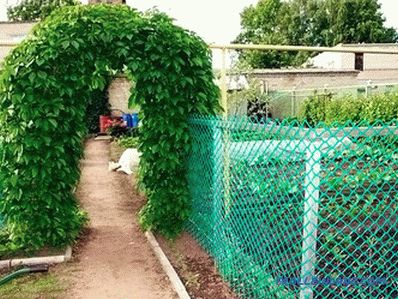 Как да изберем градинска мрежа за оградата