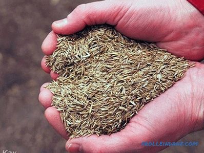 Как да си направим тревата в страната със собствените си ръце (+ снимки)